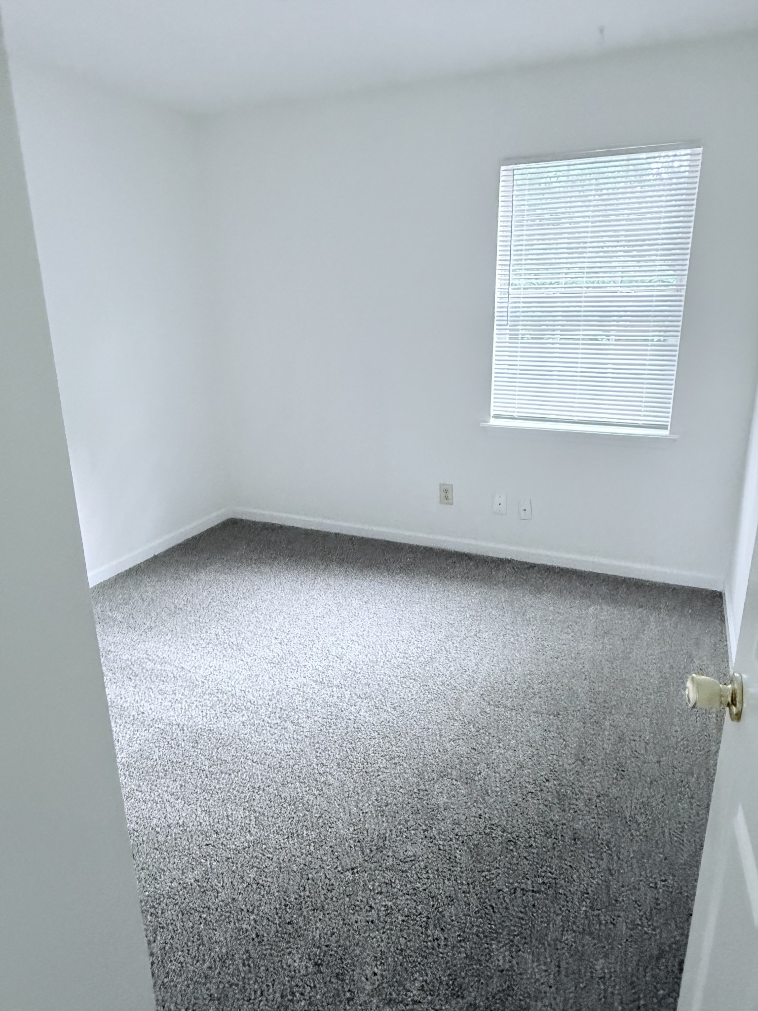 149 Constitution Ave Property Photo 7
