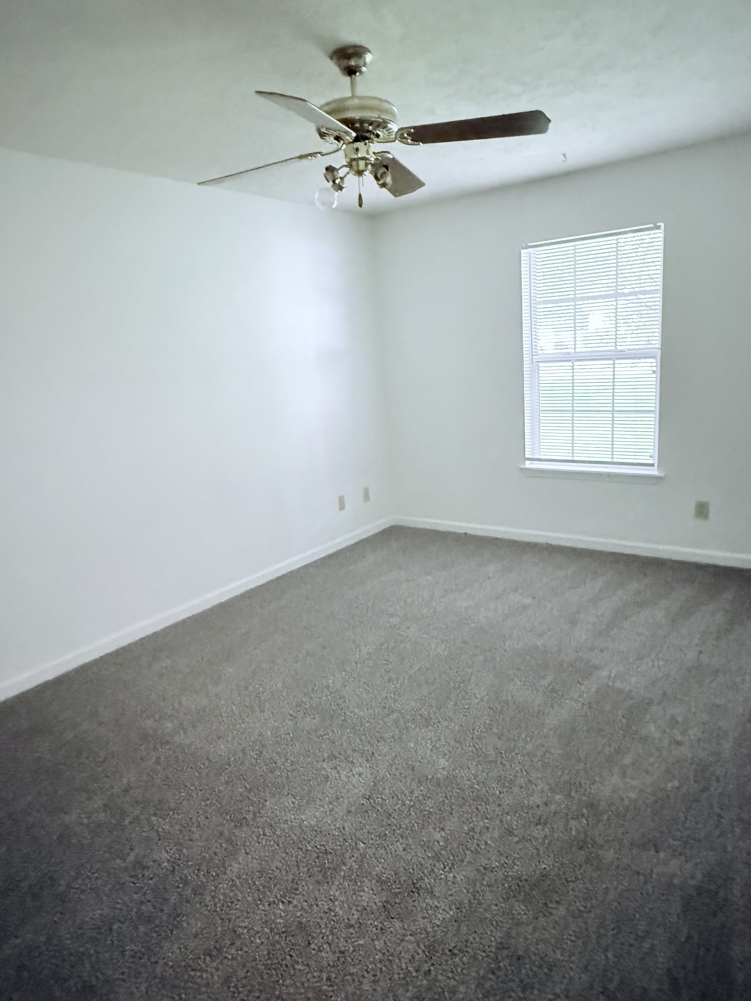 149 Constitution Ave Property Photo 9