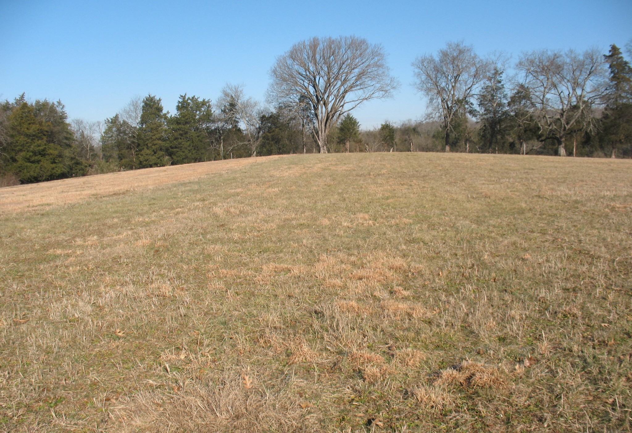 0 Burt Burgen Road Property Photo