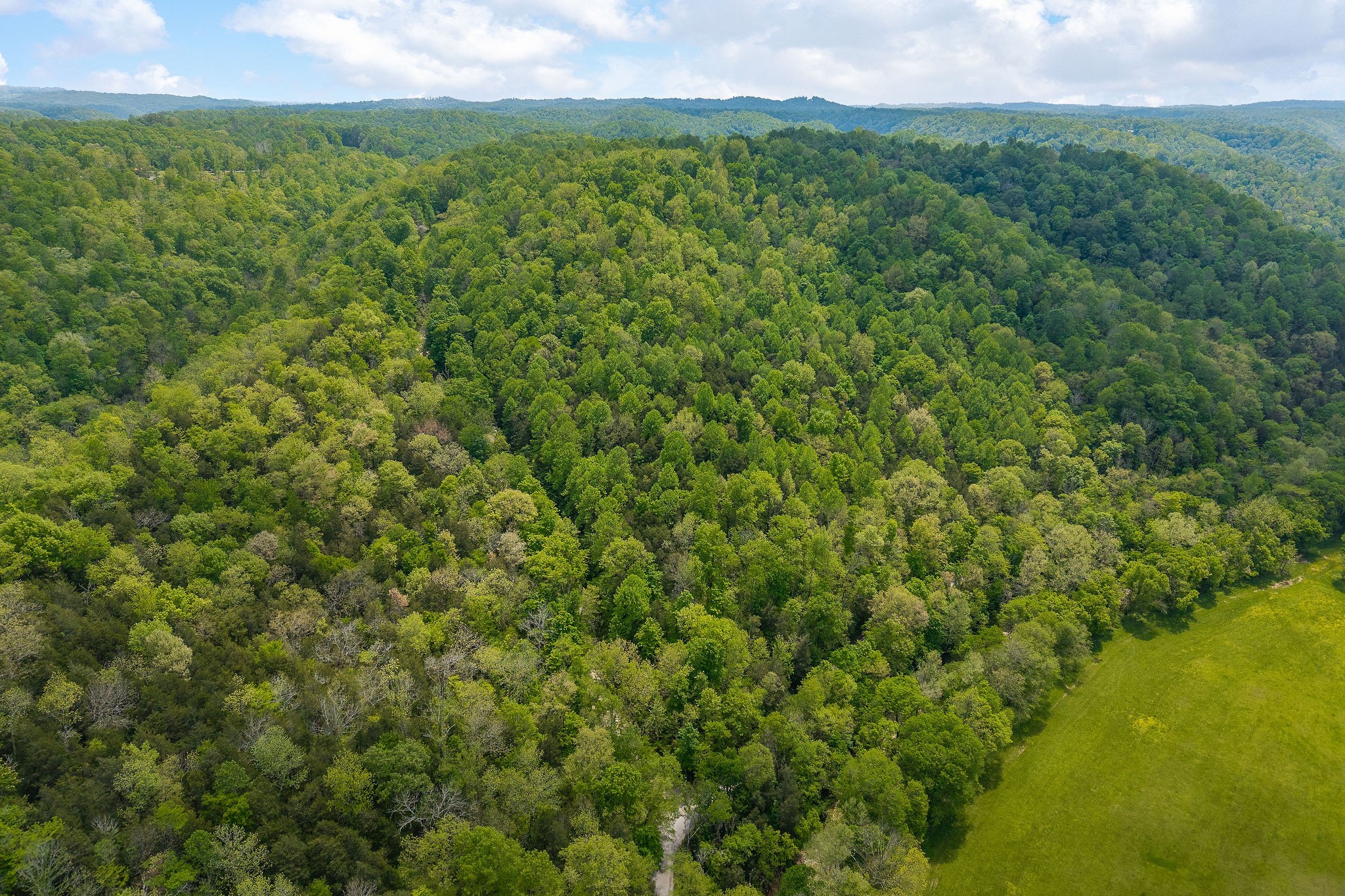 0 Red Bud Ln Tn Property Photo