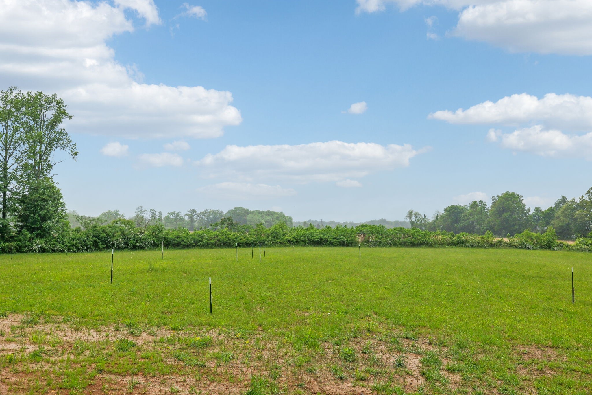 5032 Jim Cummings Hwy Property Photo 38
