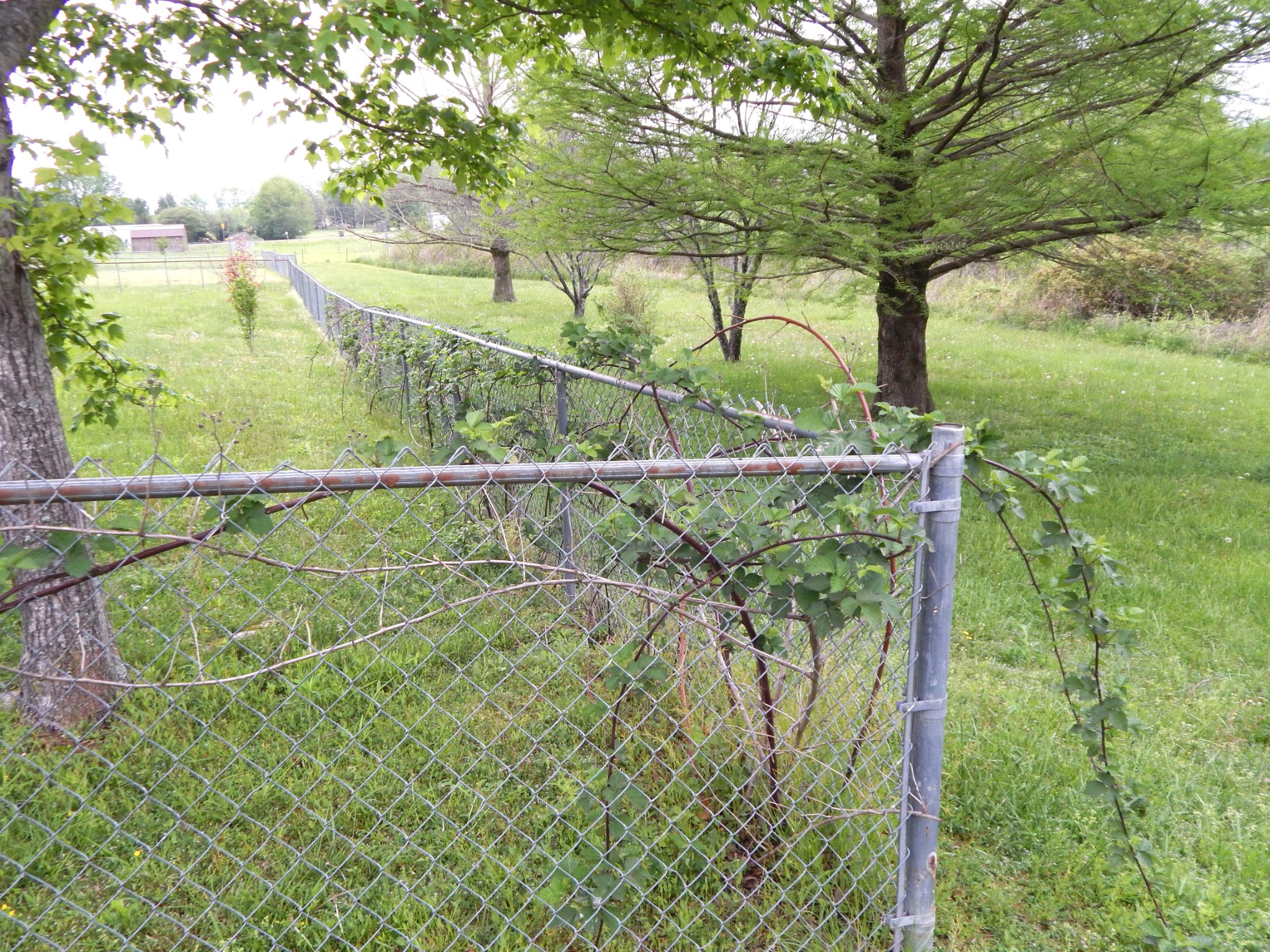 1876 Fall River Rd Property Photo 35