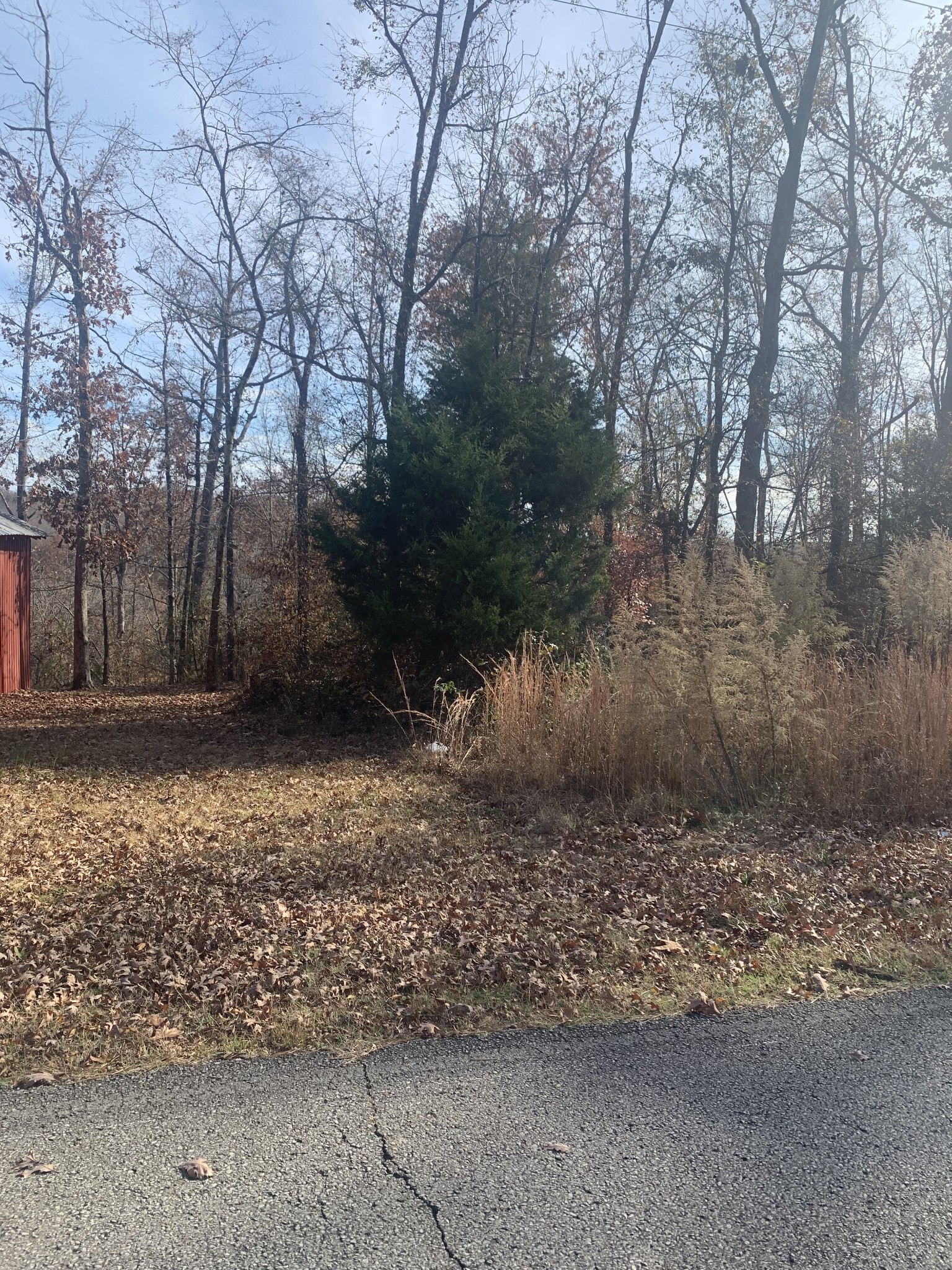 0 Lower Roans Creek Rd Property Photo