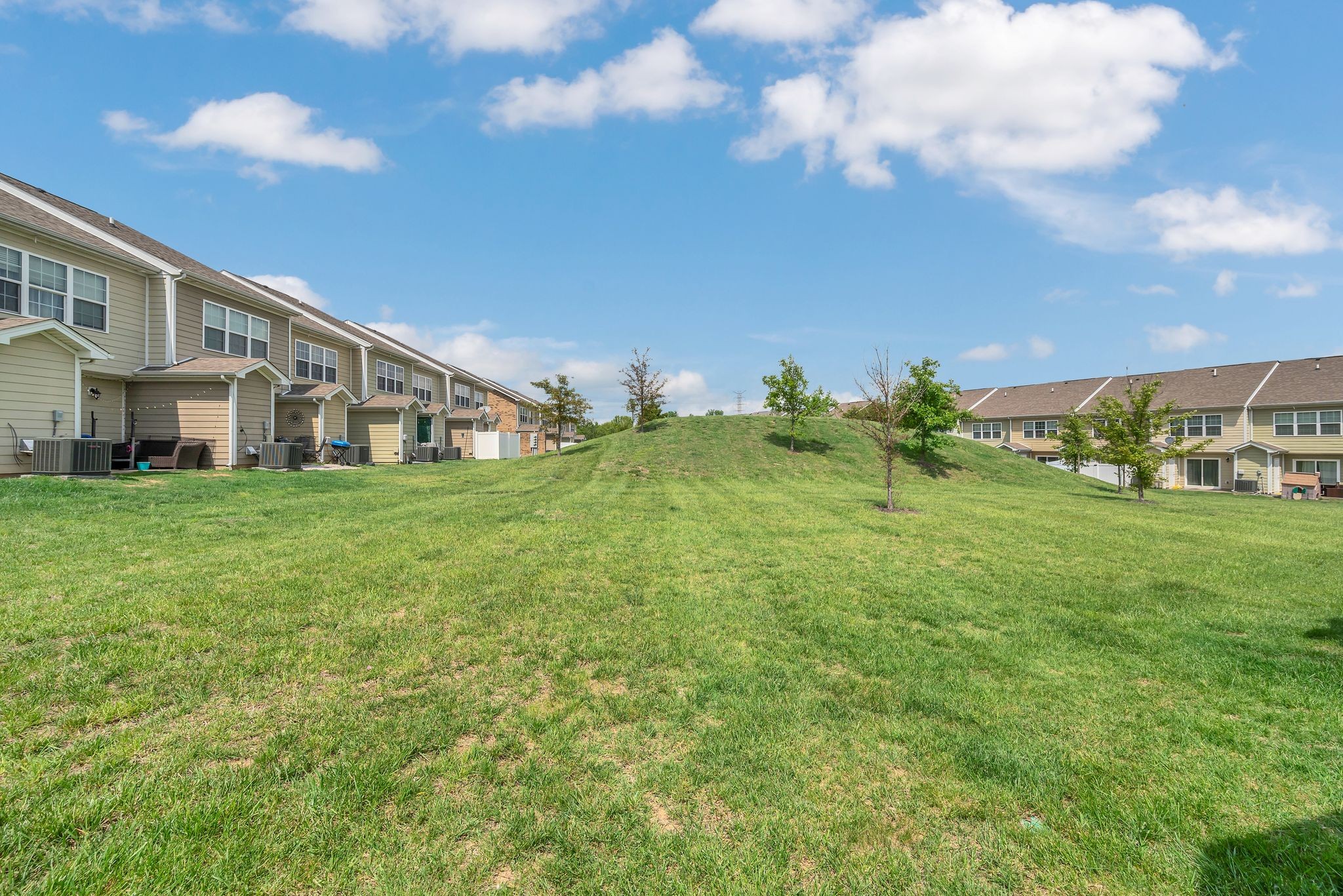 127 Cobblestone Place Dr Property Photo 27