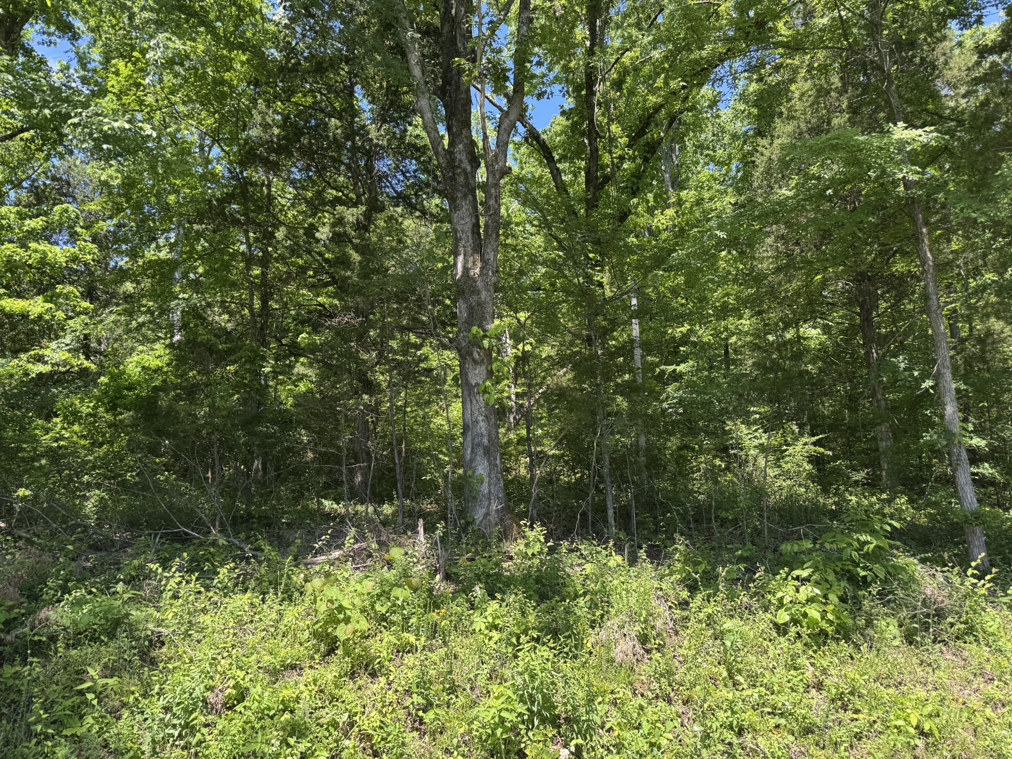 397 Red Bank Rd Property Photo