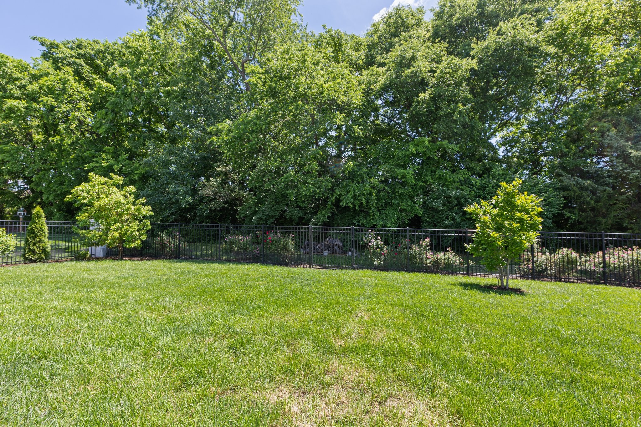 3670 Martins Mill Rd Property Photo 69