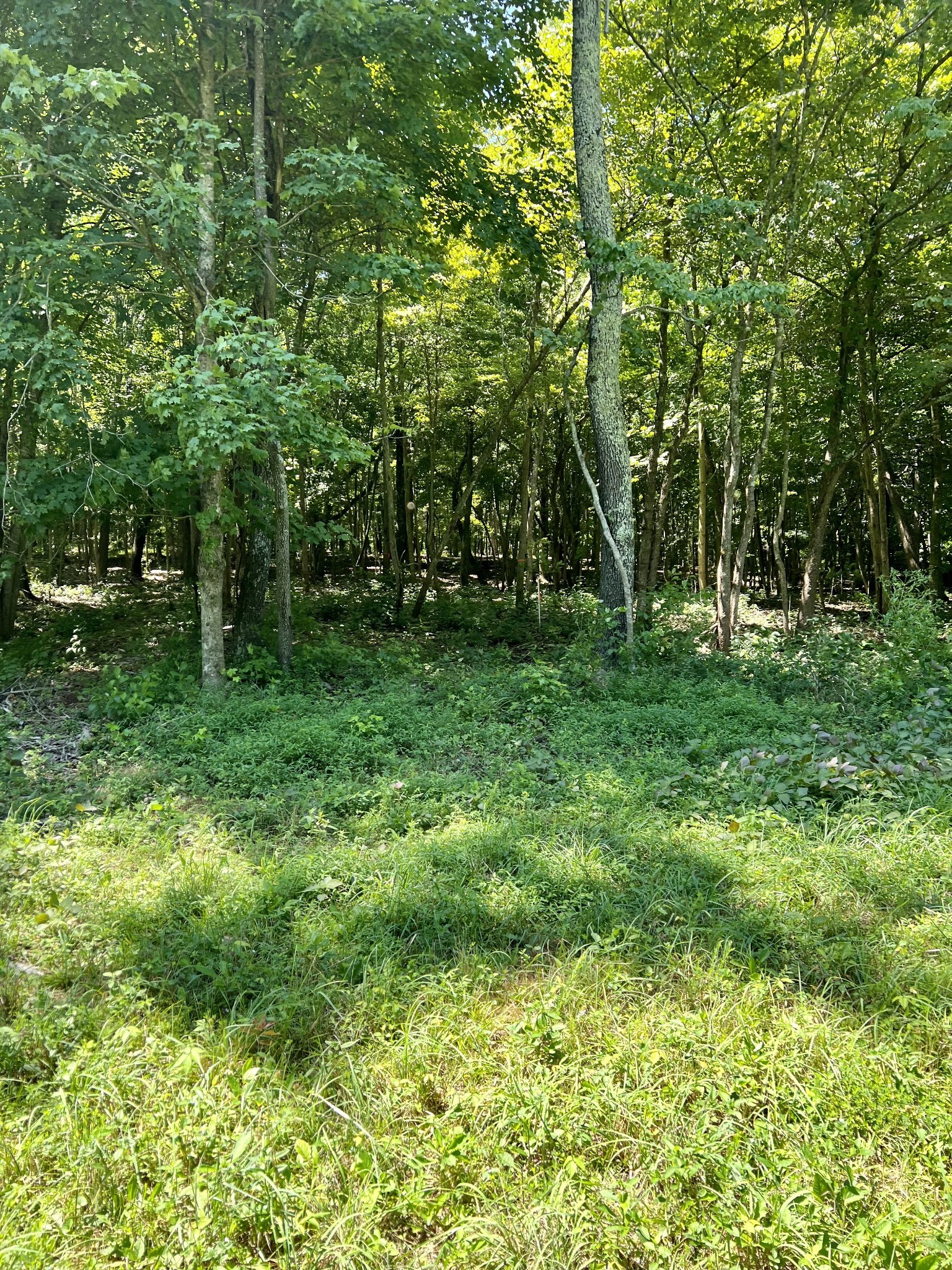 0 Keytown Road Property Photo 7