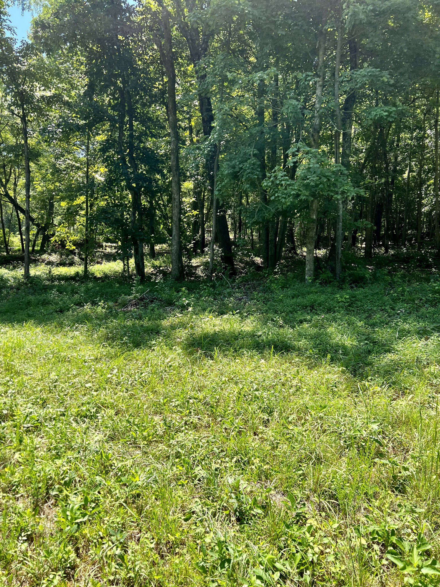 0 Keytown Road Property Photo 8