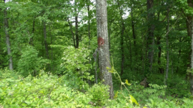 0 Rock Springs Rd Property Photo