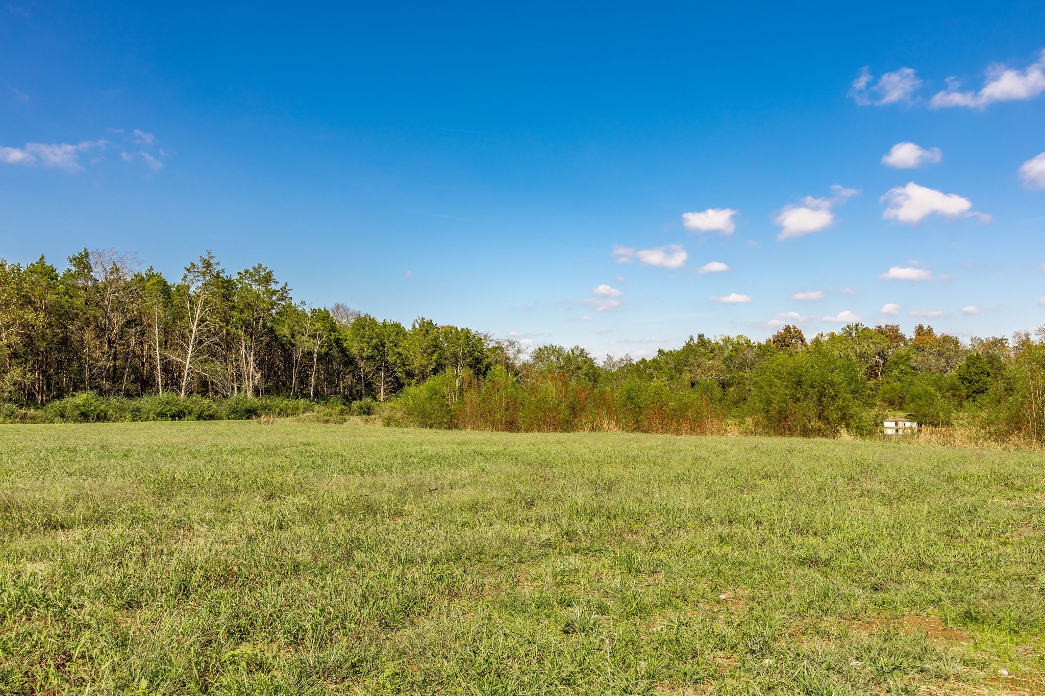 1219 Ben Forkum Dr Property Photo 60
