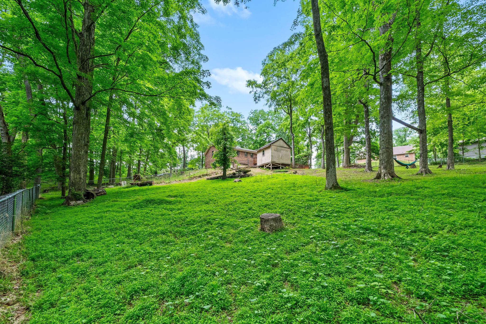826 Dunbar Cave Rd Property Photo 39