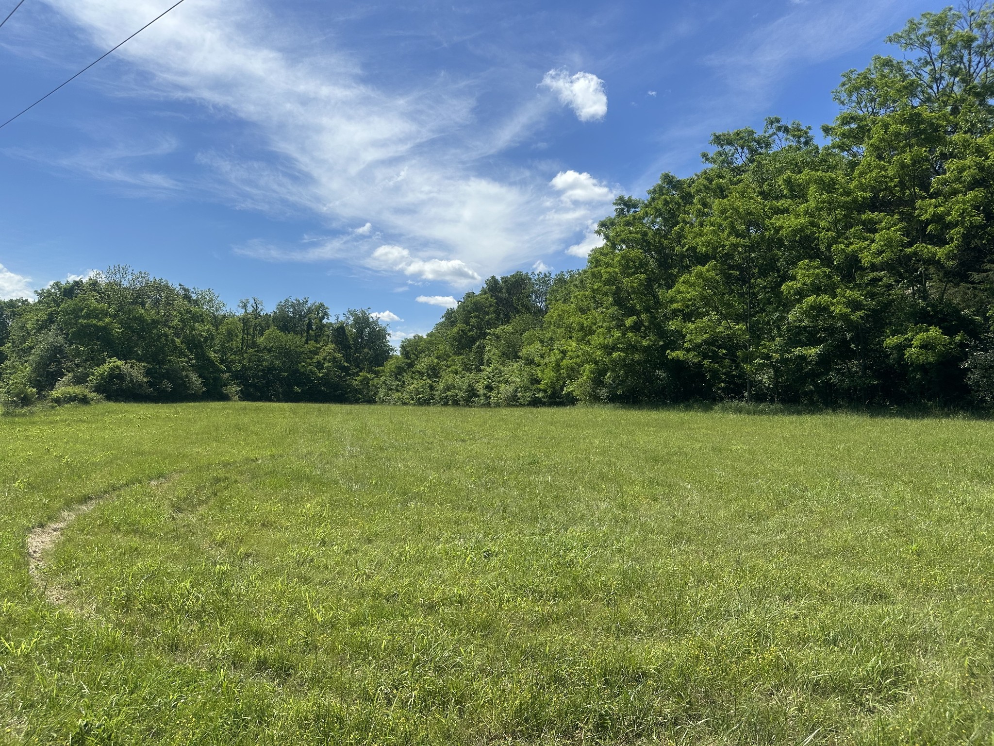 0 Greens Mill Rd Property Photo 1