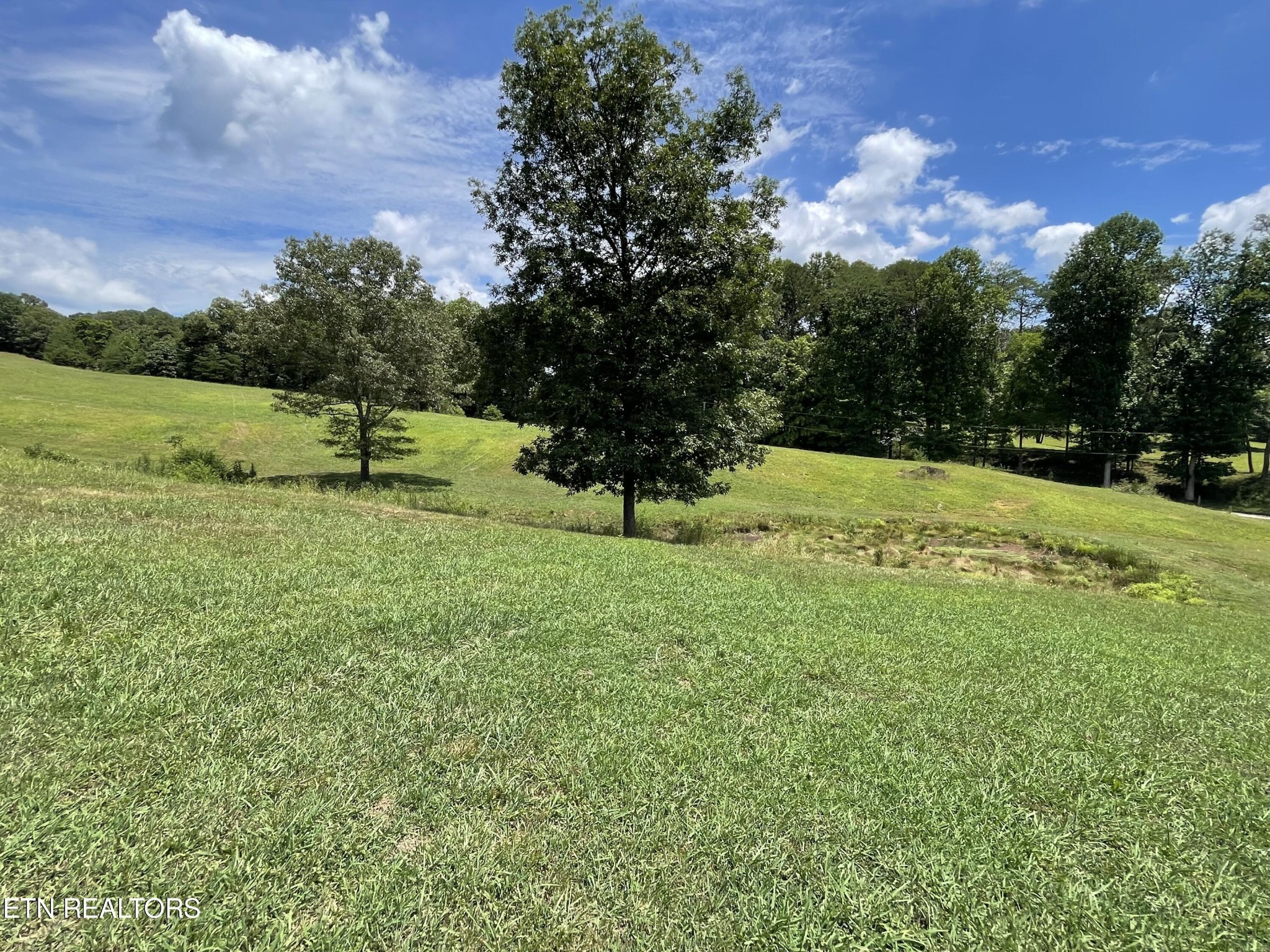 535 Belcher Gap Rd Property Photo 49