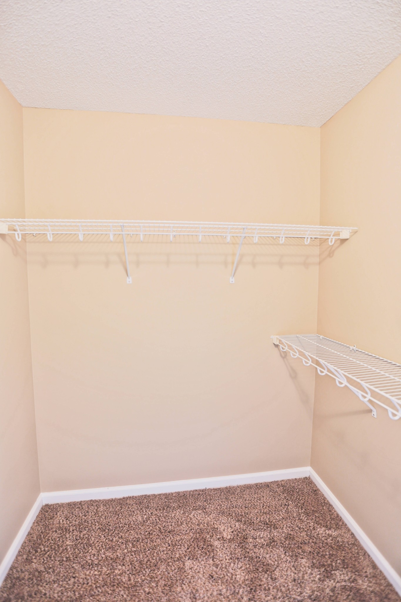 3420 Bradfield Dr Property Photo 13