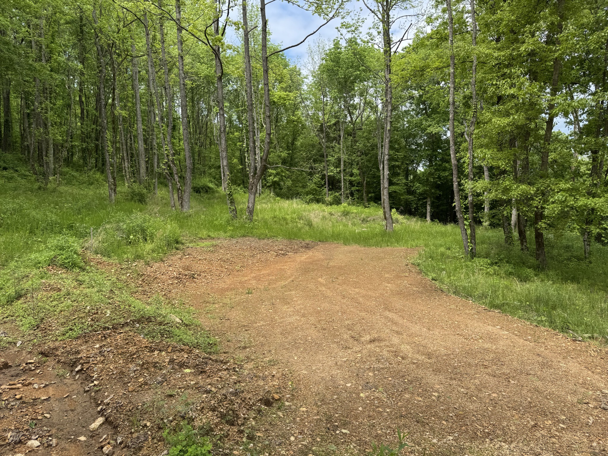 0 Lobelville Highway Property Photo