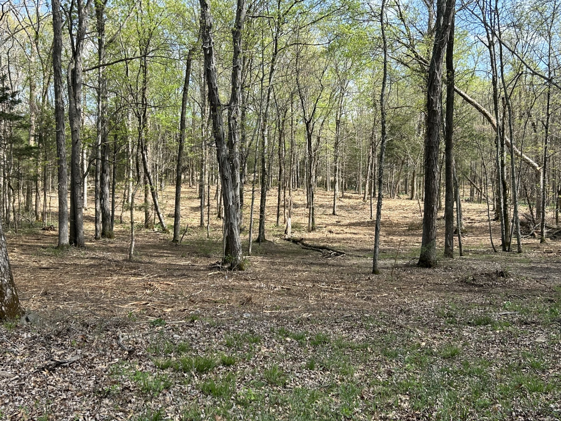 0 Millersburg Rd Property Photo