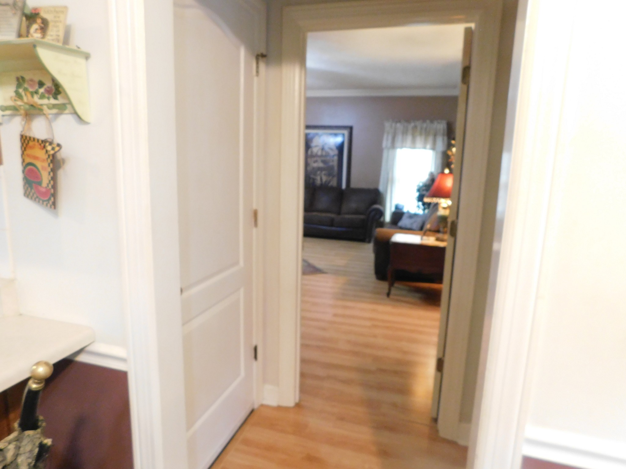 1129 Adam Dr Property Photo 36