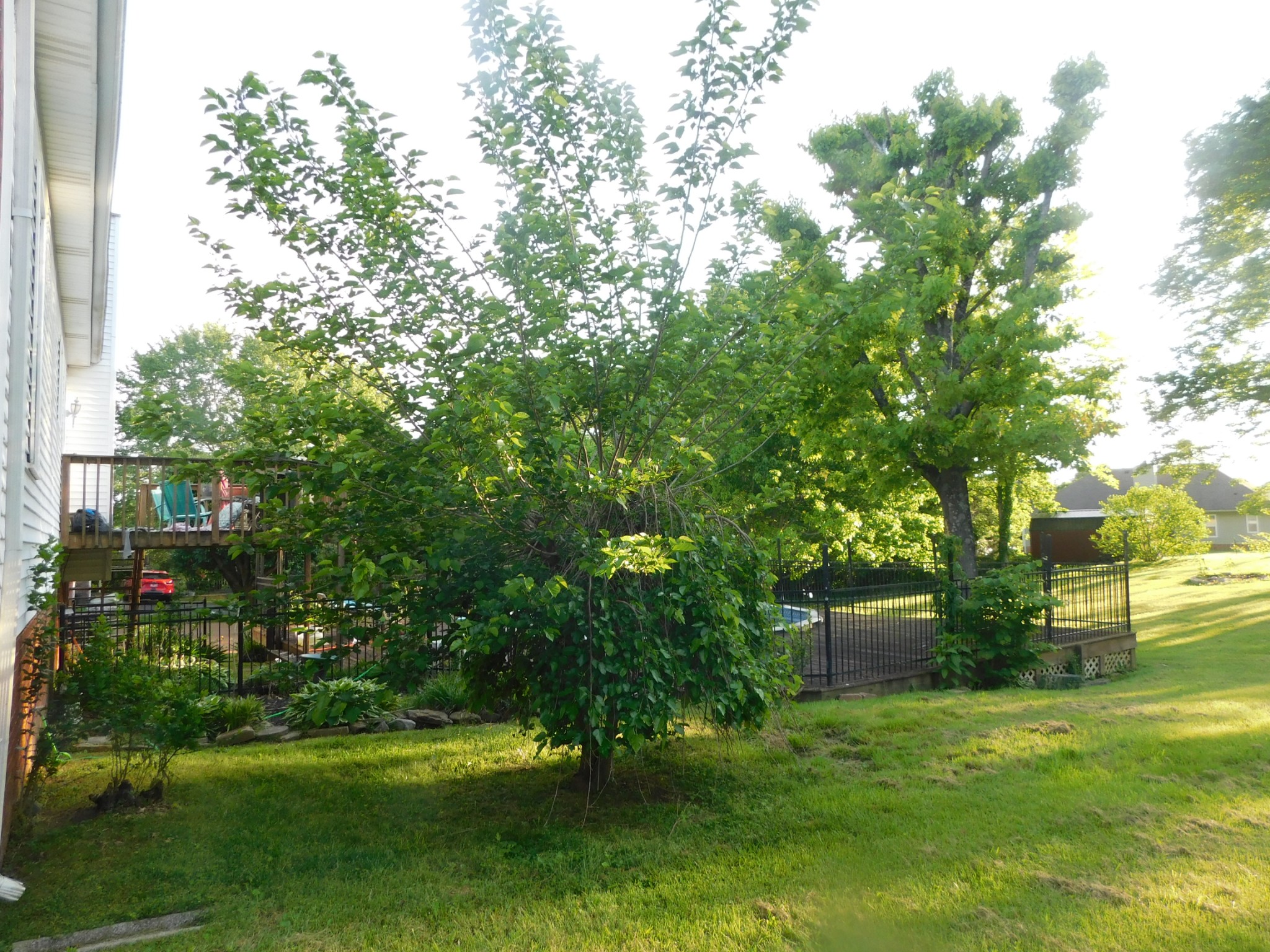 1129 Adam Dr Property Photo 60