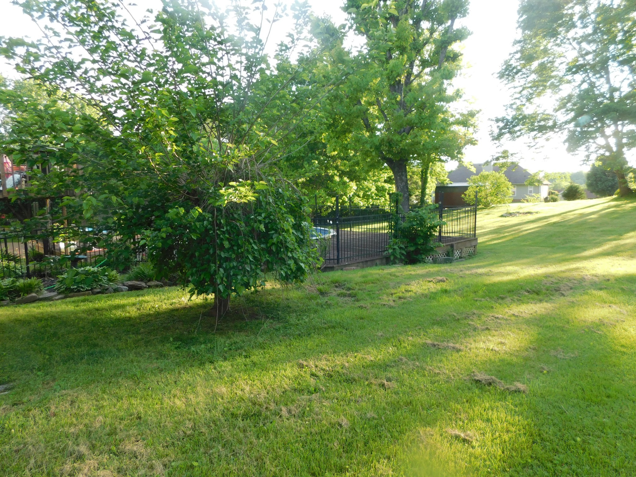 1129 Adam Dr Property Photo 61