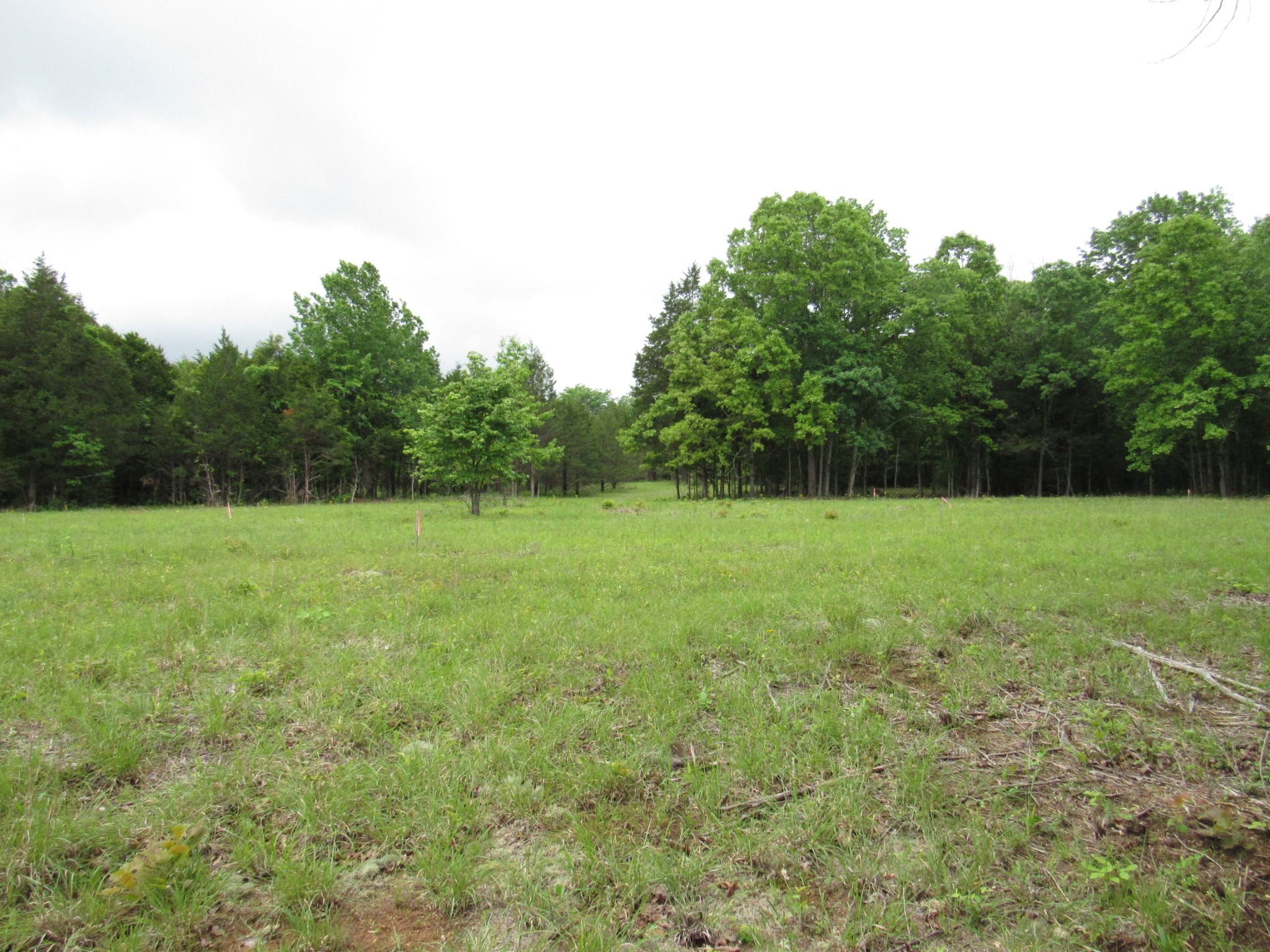 0 Morgan Rd Property Photo