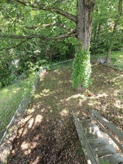 1108 Cabana Dr Property Photo 27