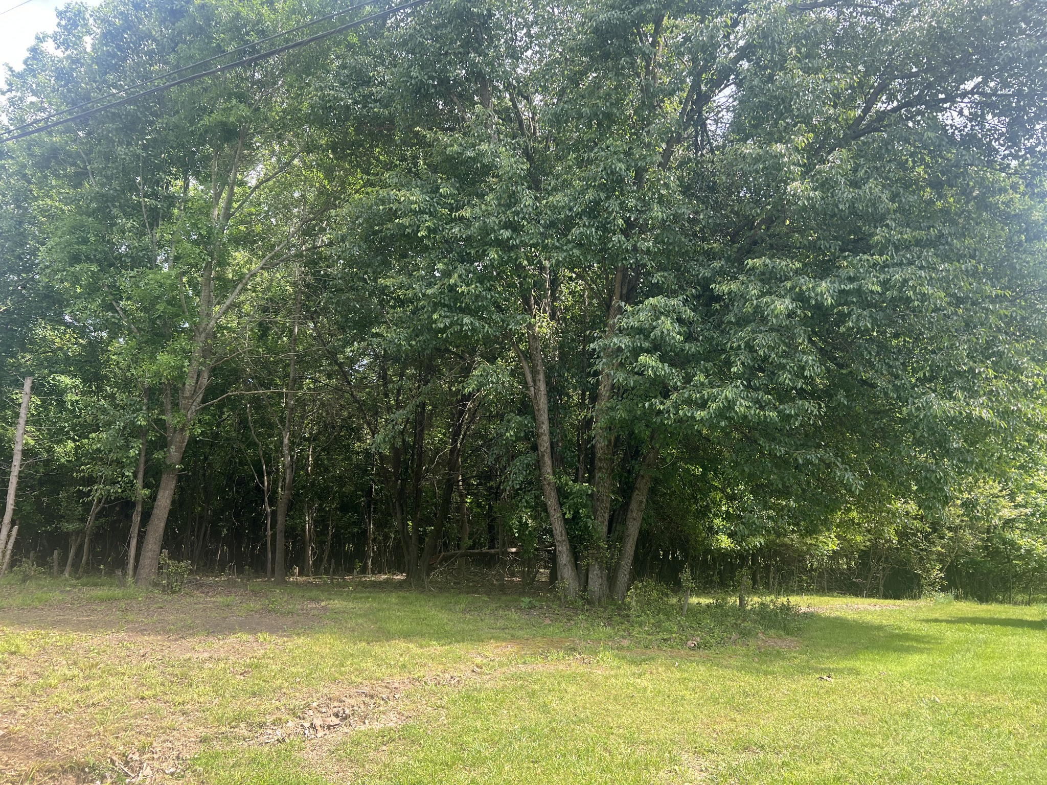 207 Hill Street Property Photo