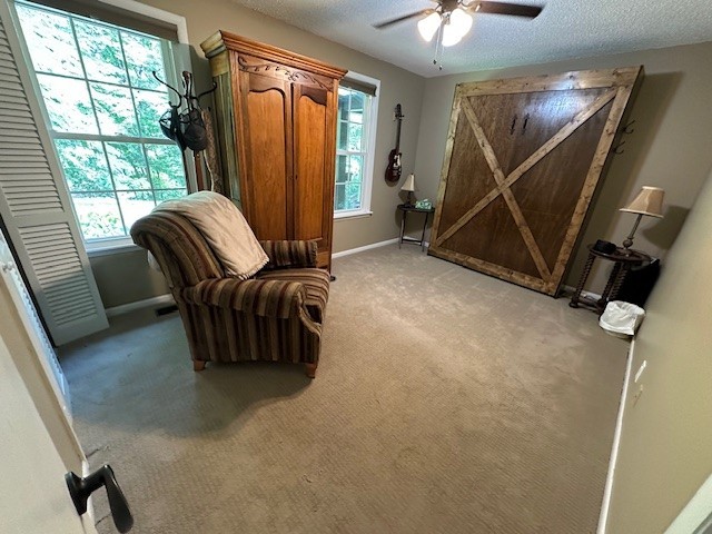 2531 Goose Creek Byp Property Photo 34