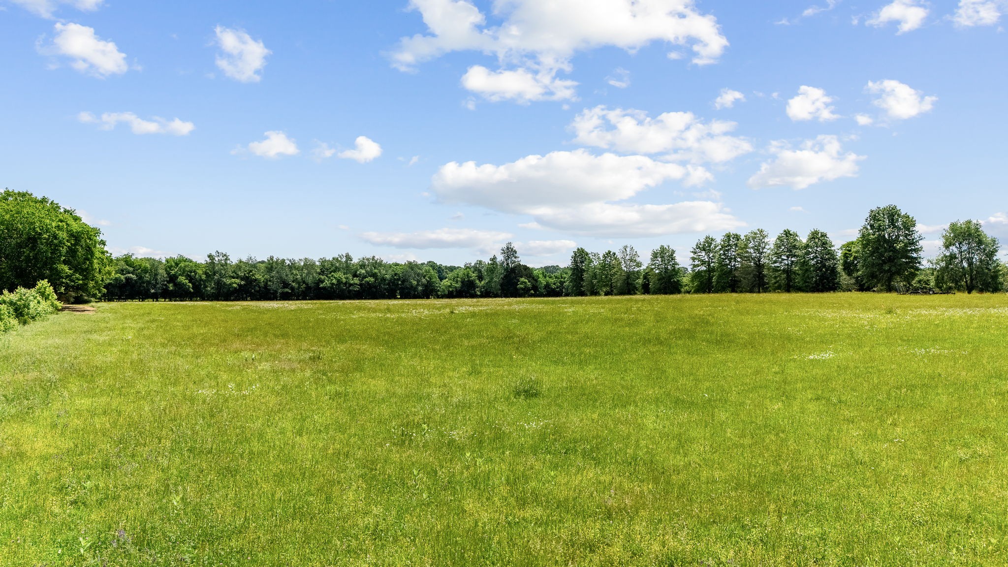 0 Nashville Highway Property Photo 1