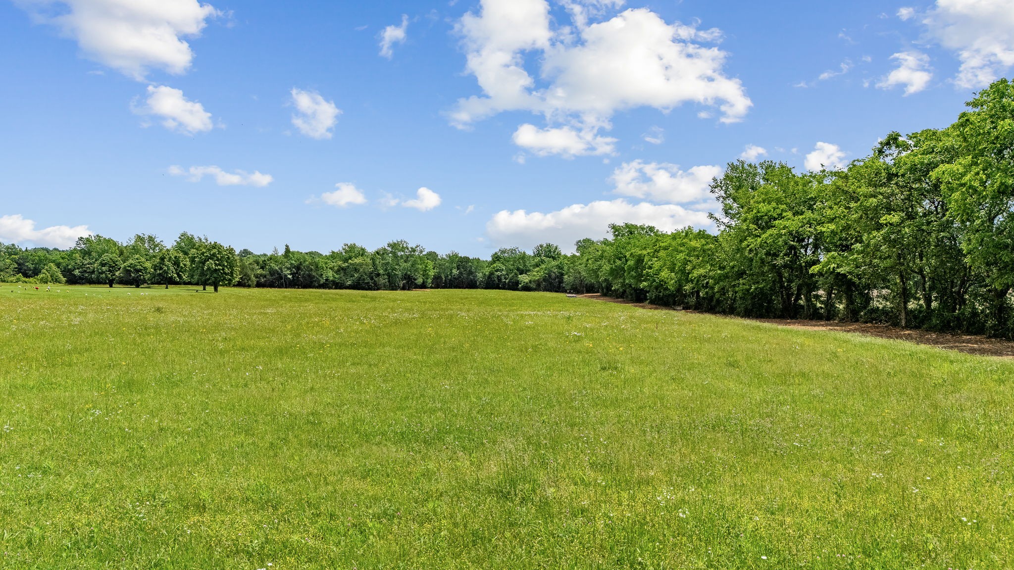 0 Nashville Highway Property Photo 21