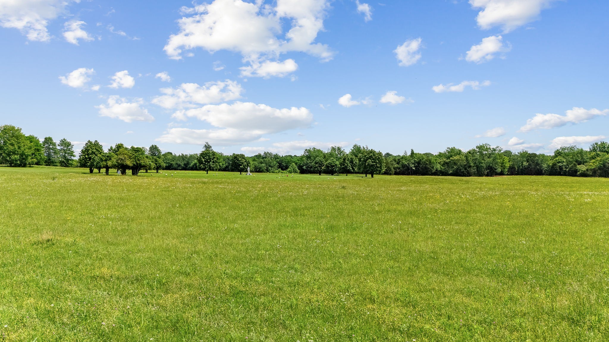 0 Nashville Highway Property Photo 22