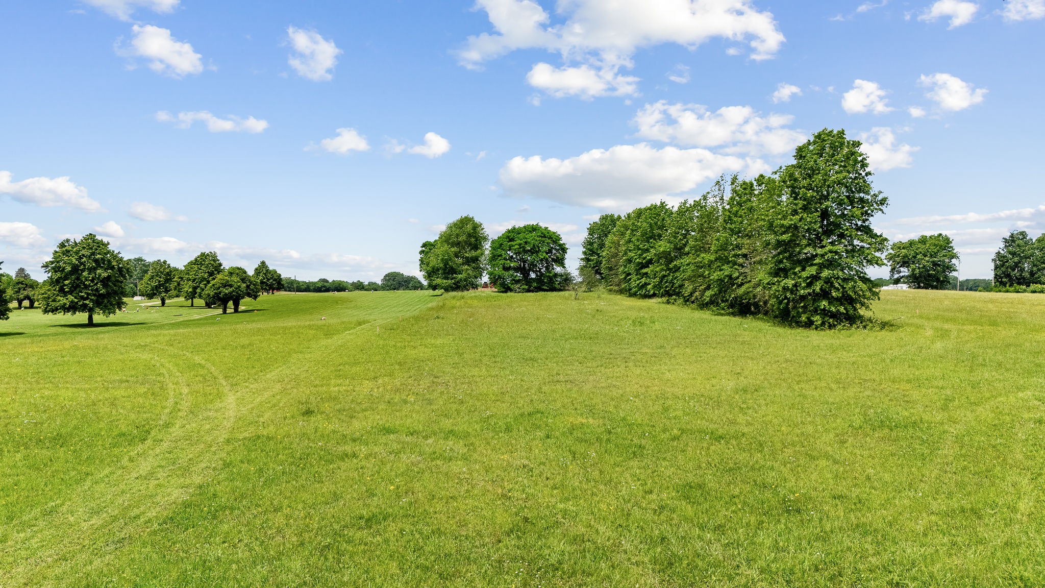 0 Nashville Highway Property Photo 24