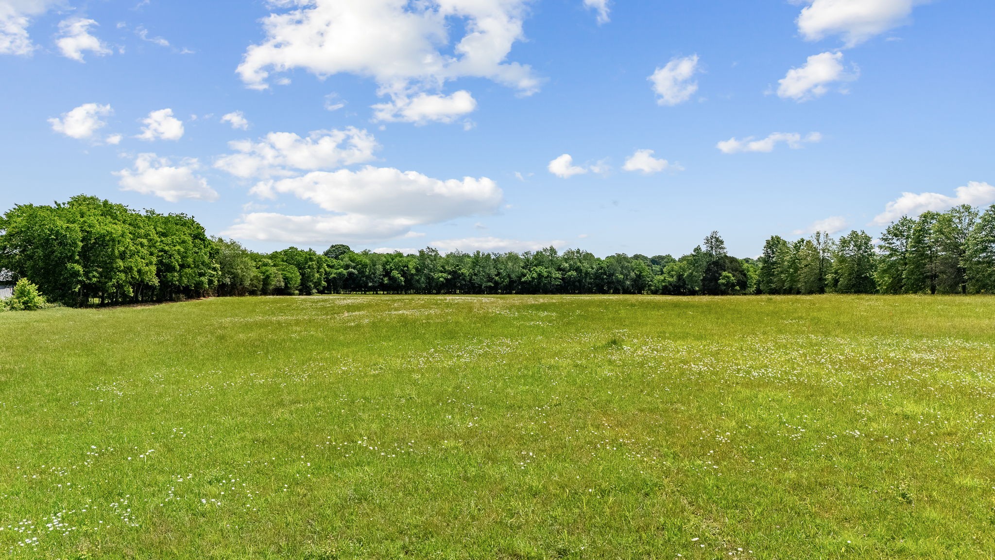 0 Nashville Highway Property Photo 26