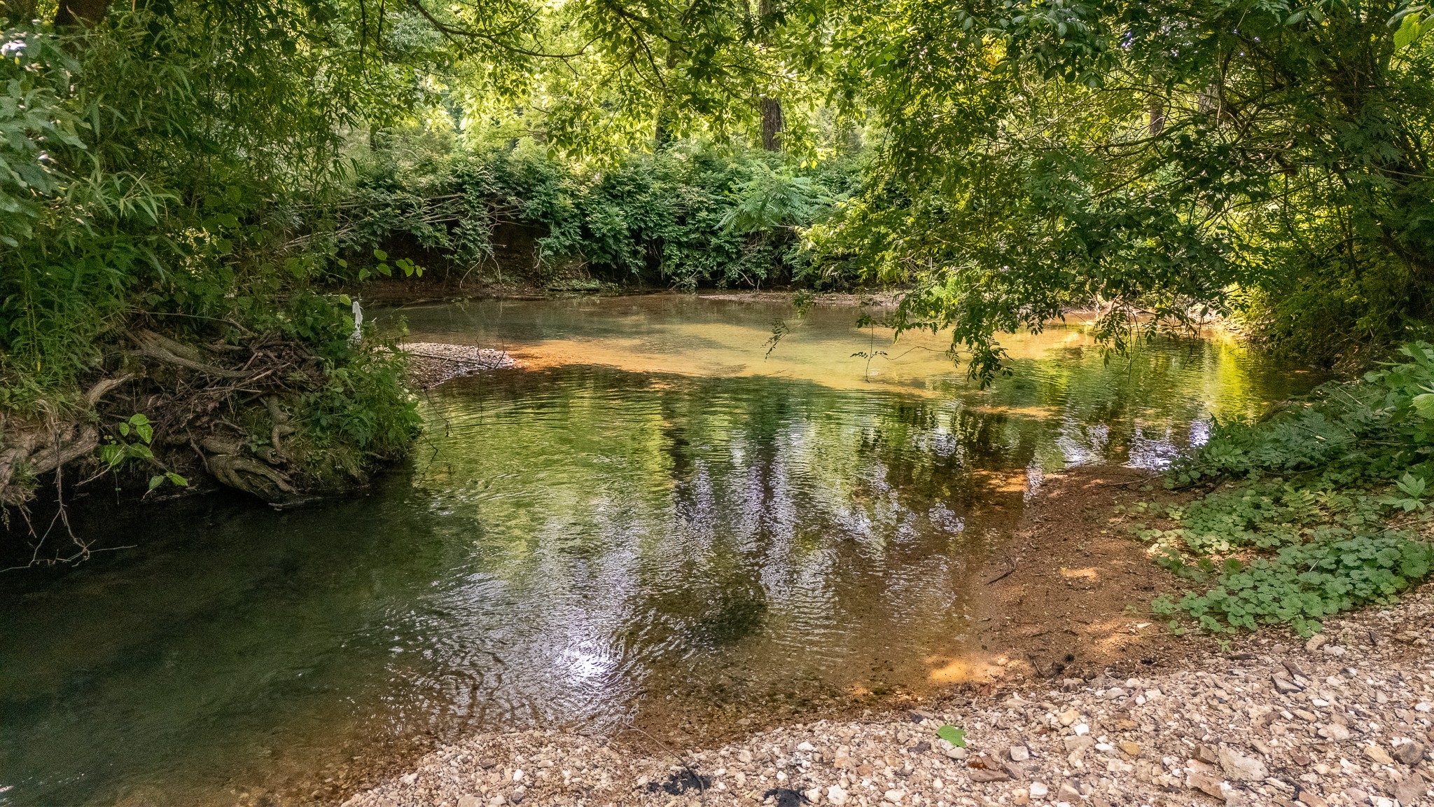 0 Waterfork Road Property Photo 1