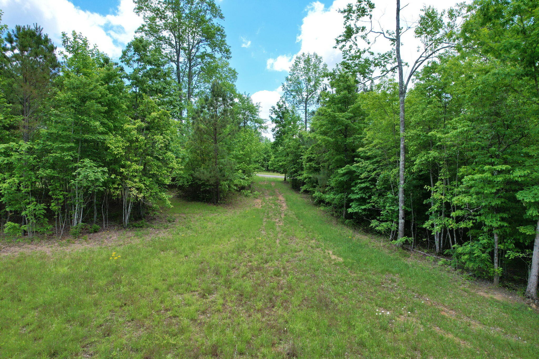 460 Cherokee Path Property Photo 8