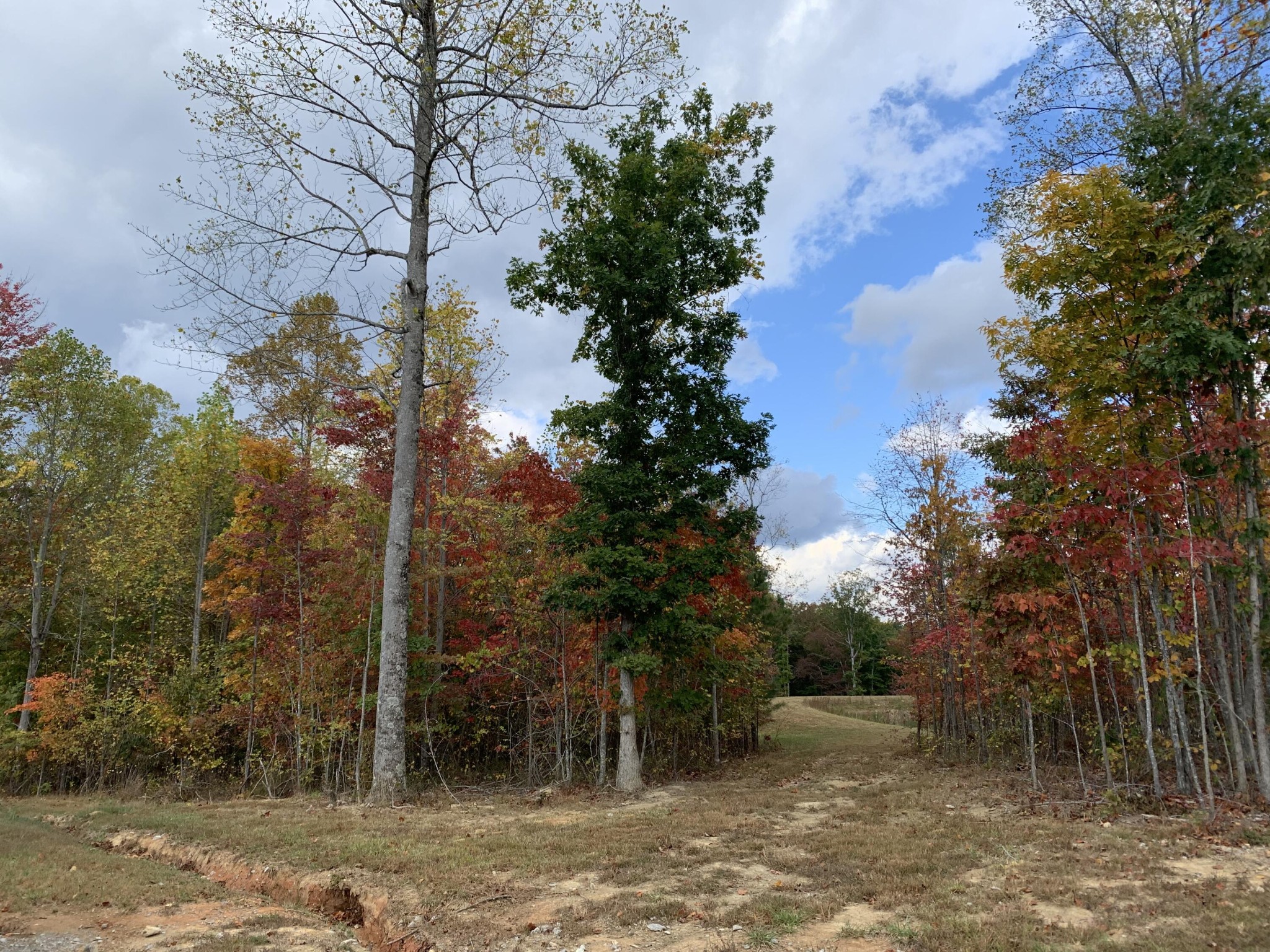 460 Cherokee Path Property Photo 9