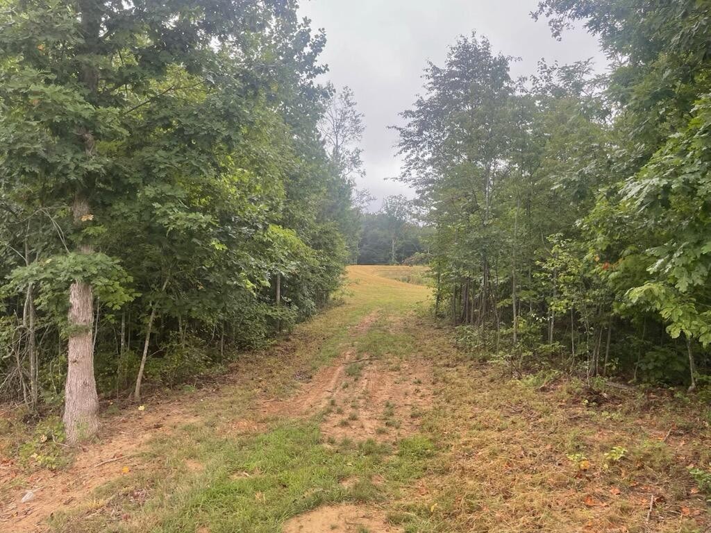 460 Cherokee Path Property Photo 10