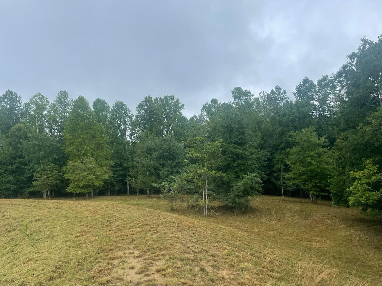 460 Cherokee Path Property Photo 20