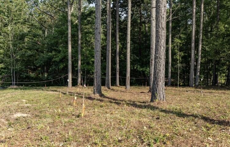 595 Compass Drive Property Photo 7