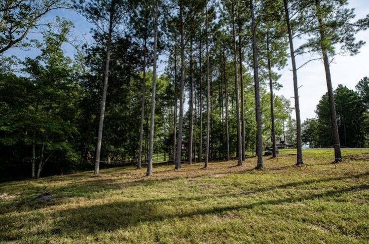 595 Compass Drive Property Photo 8
