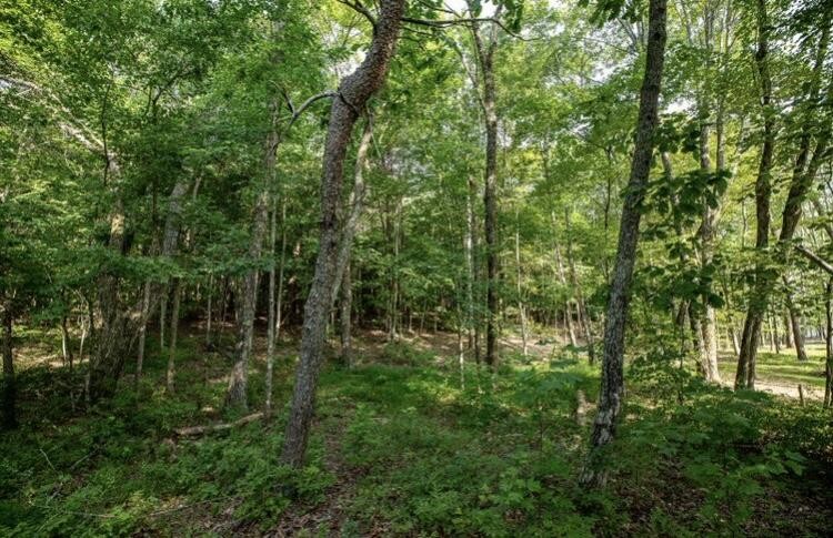 595 Compass Drive Property Photo 12