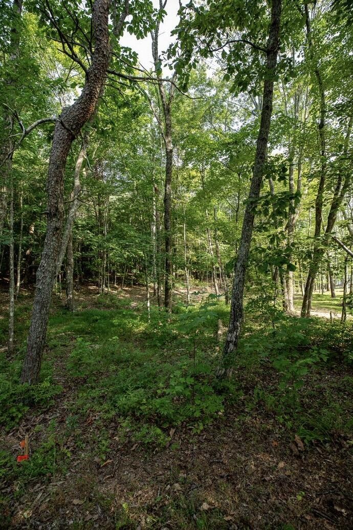 595 Compass Drive Property Photo 13