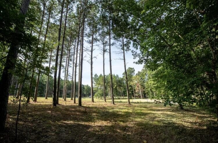 595 Compass Drive Property Photo 14