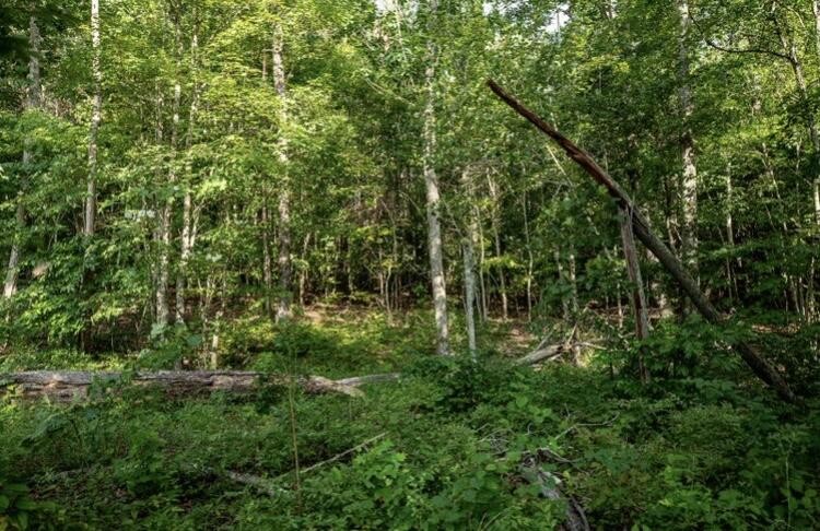 595 Compass Drive Property Photo 15