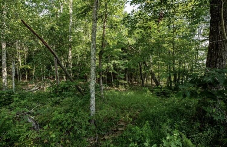 595 Compass Drive Property Photo 16