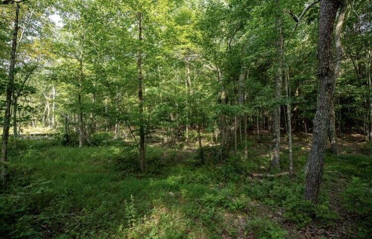 595 Compass Drive Property Photo 18