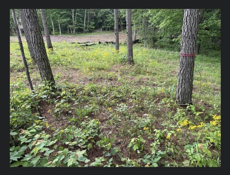 595 Compass Drive Property Photo 26