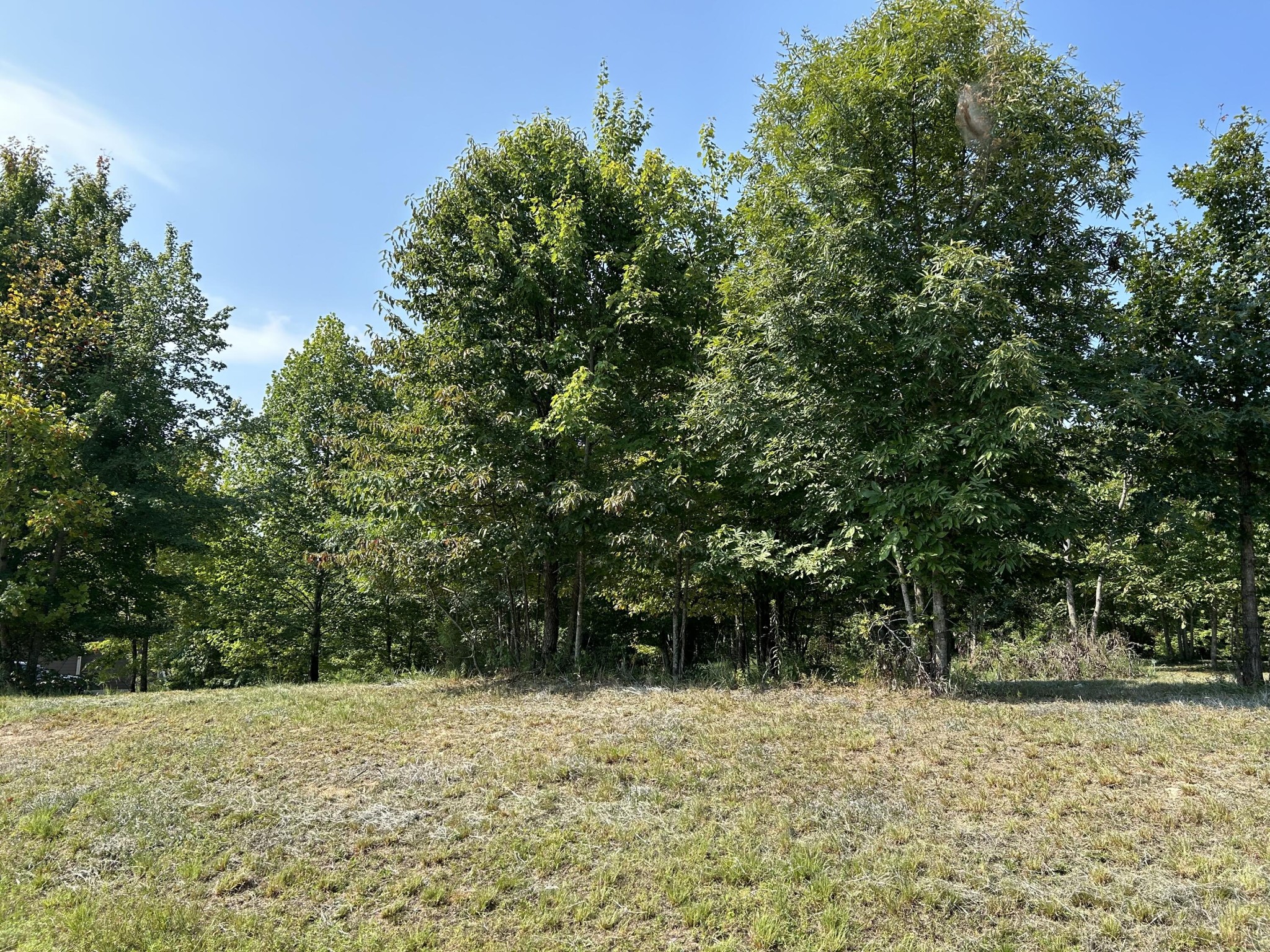 245 Lookout View Drive Property Photo 6