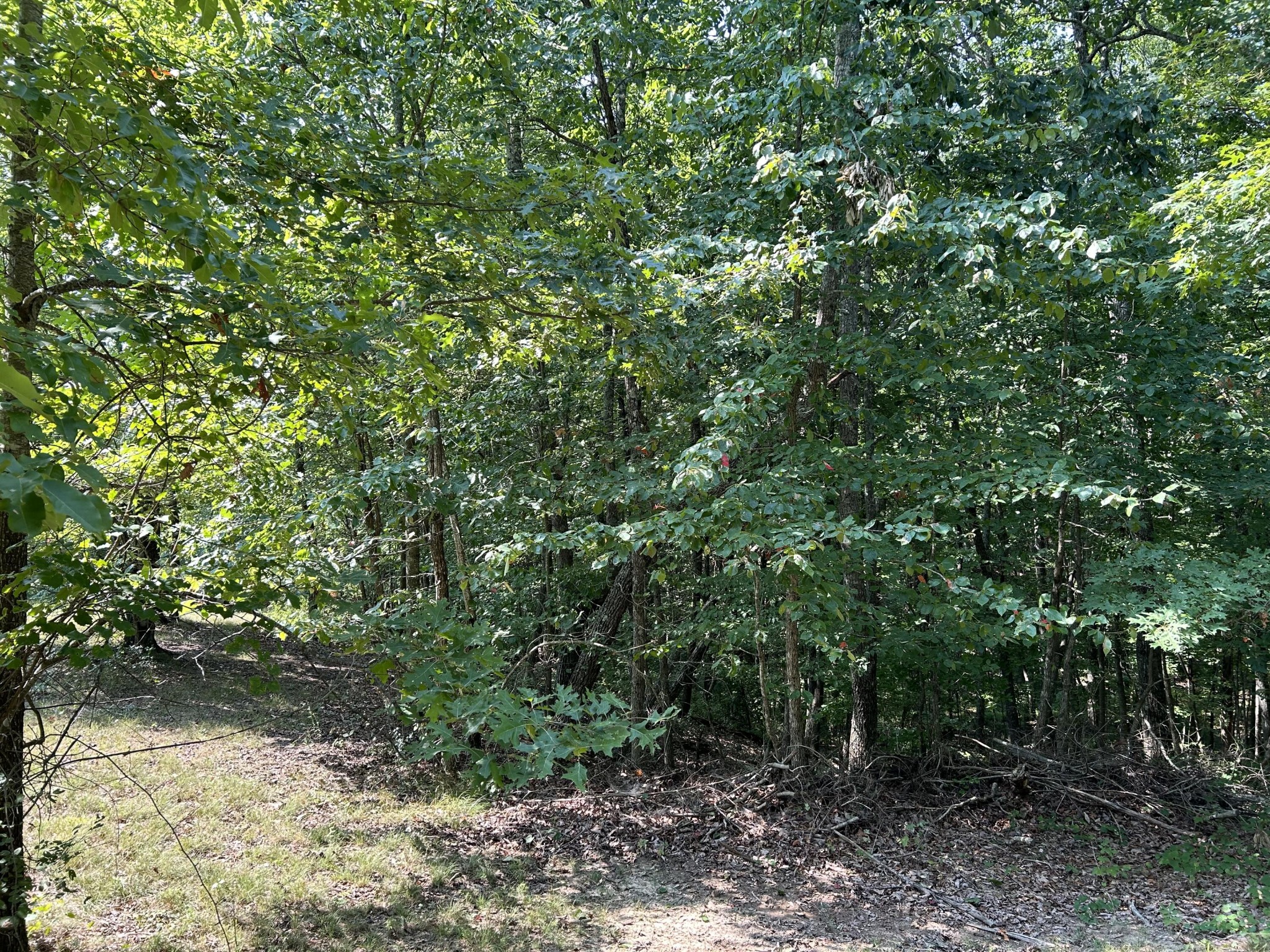 245 Lookout View Drive Property Photo 11
