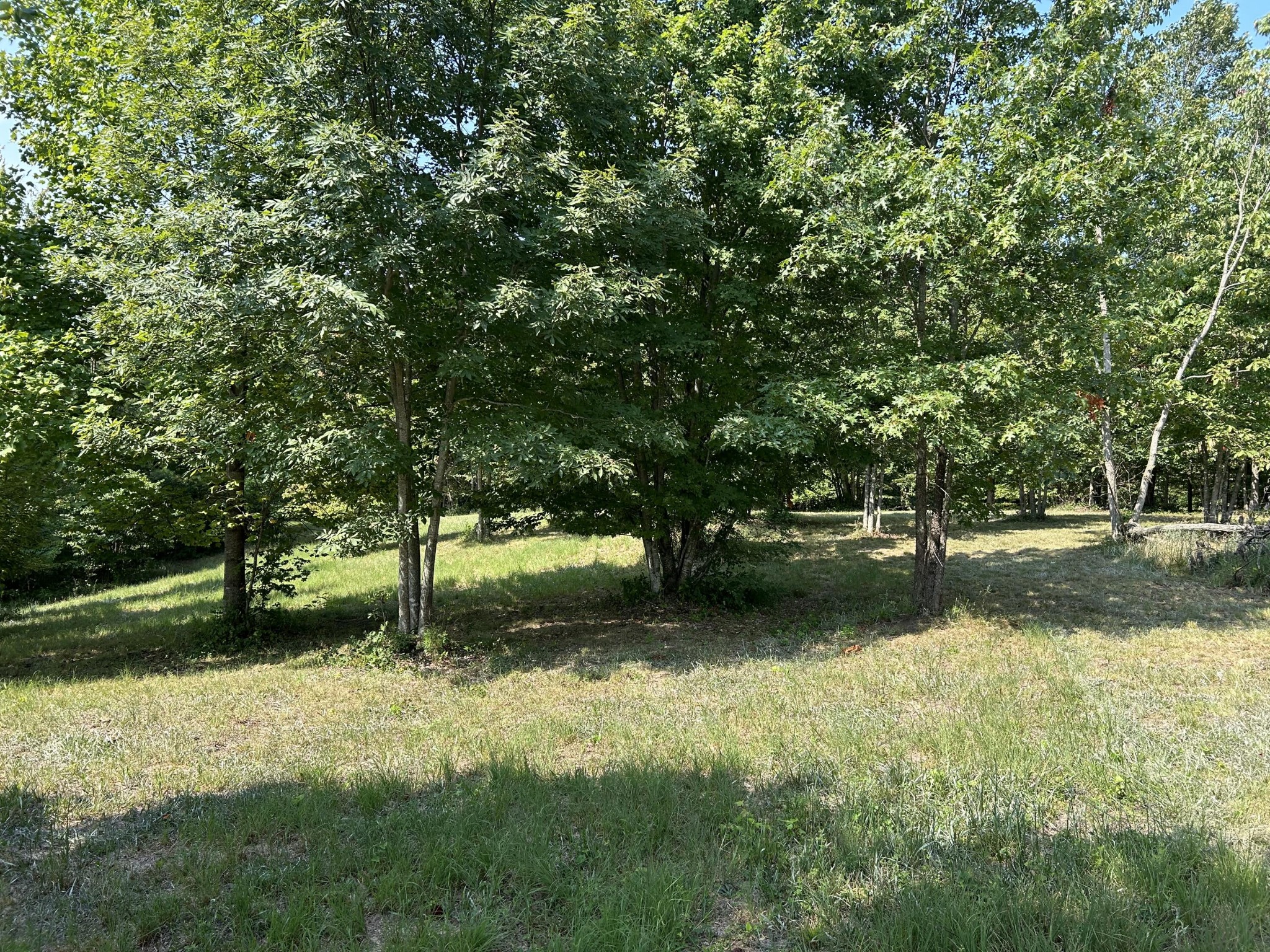 245 Lookout View Drive Property Photo 12