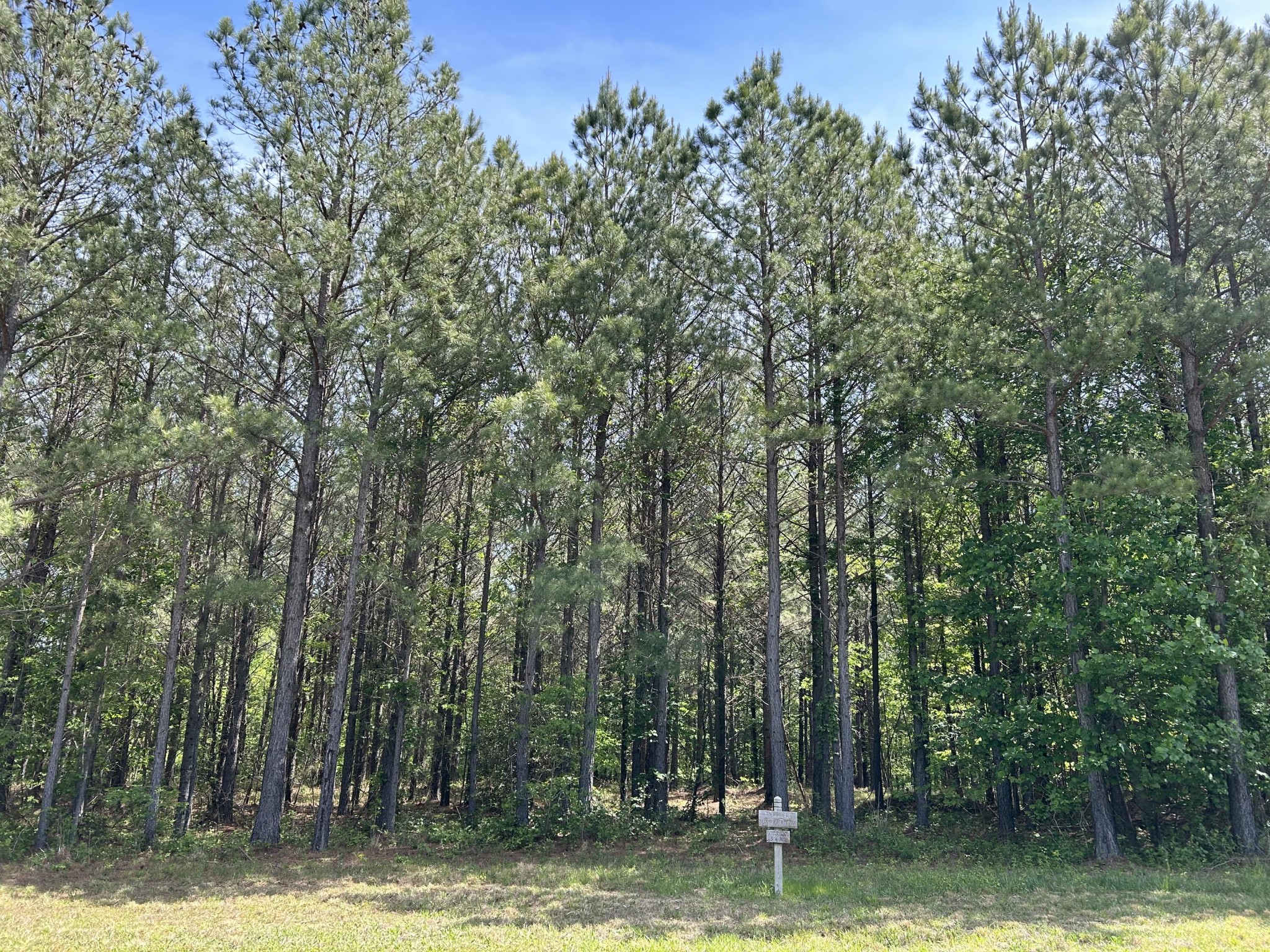 290 Bear Trace Drive Property Photo 3
